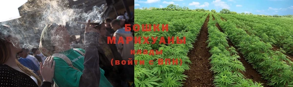 эйфоретик Белокуриха