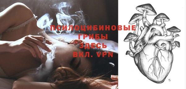 эйфоретик Белокуриха